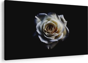 Tablou cu trandafir alb (90x60 cm)