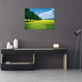 Tablou pe sticlă - Câmp cu alei (70x50 cm)