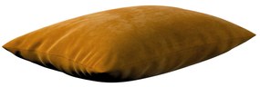 Husa perna Kinga