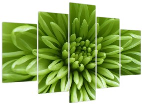 Tablou - Imagine macro a unei plante (150x105 cm)