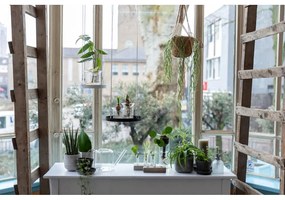 Stropitoare din sticlă Esschert Design Clear, 1,5 l