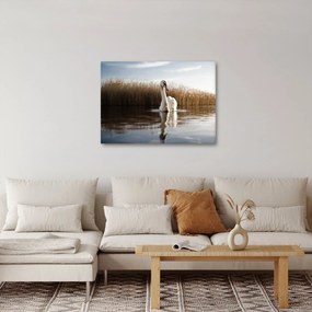 Tablou cu lebăda (70x50 cm)