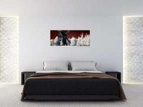 Tablou cu moară (120x50 cm)