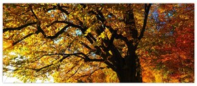 Tablou cu copac toamna (120x50 cm)