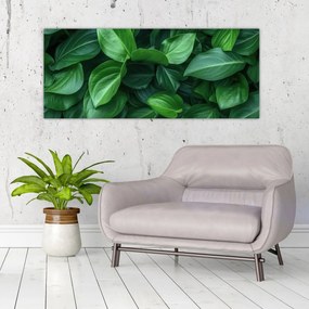 Tablou - Frunze verzi (120x50 cm)