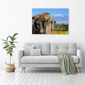 Print pe pânză Leopard pe un ciot de copac