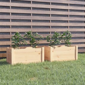 Jardiniere de gradina, 2 buc., 60x31x31cm, lemn masiv pin 2, Maro
