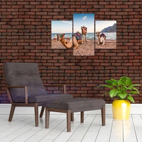 Tablou cu cămile (90x60 cm)