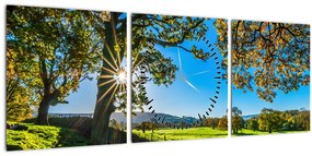 Tablou Privire la câmp (cu ceas) (90x30 cm)