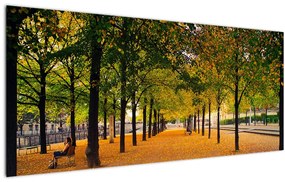 Tablou cu alee cu copaci în toamnă (120x50 cm), în 40 de alte dimensiuni noi
