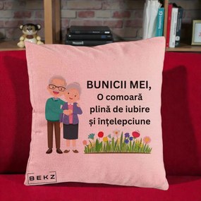 Cadou pentru Bunici - Perna Personalizata Bunicii Mei Comoara Cuplu Senior cu Flori Colorat, 40x40 cm, Roz, Husa Detasabila, Perna Inclusa, BEKZ®