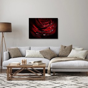 Tablou pe sticlă - Trandafir (70x50 cm)