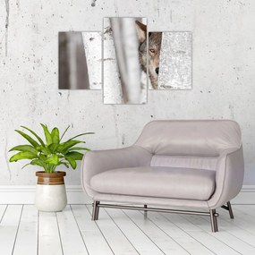 Tablou - Lup (90x60 cm)