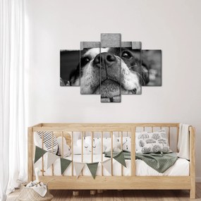 Tablou cu câine (150x105 cm)