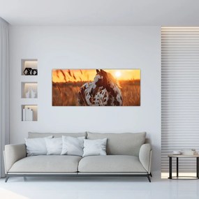 Tablou - Cal la Apus (120x50 cm)