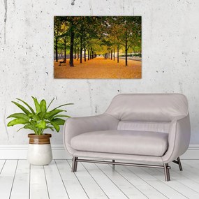 Tablou pe sticlă cu alee cu copaci în toamnă (70x50 cm)