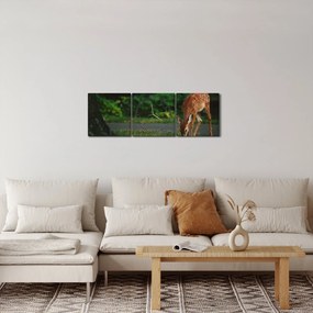 Tablou cu pui de cerb (cu ceas) (90x30 cm)