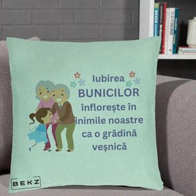 Cadou pentru Bunici - Perna Personalizata Bunicii Iubirea Infloreste Bunici cu Nepoata Colorat, 40x40 cm, Verde Menta, Husa Detasabila, Perna Inclusa, BEKZ®