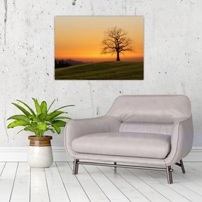 Tablou pe sticlă cu apus de soare pe o luncă (70x50 cm)