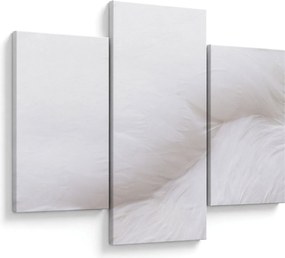 Tablou - Detalii pene (90x60 cm)