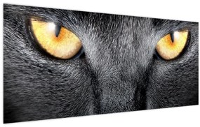 Tablou - Close up portret de o pisică (120x50 cm)