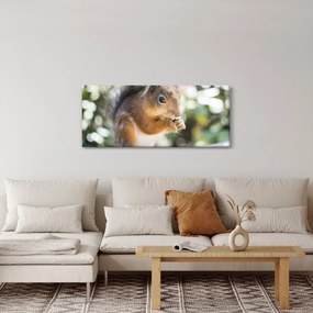 Tablou cu veverița (120x50 cm)