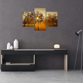 Tablou - Răsărit de soare (90x60 cm)