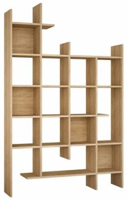 Bibliotecă Manco Oak