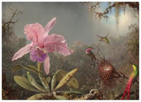 Tablou pe sticlă - Martin Johnson Heade, Cattleya Orchid and Three Hummingbirds, reproducere (70x50 cm)