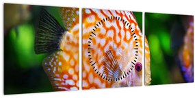 Tablou cu pește (cu ceas) (90x30 cm)