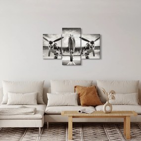 Tablou - Warbird (90x60 cm)