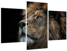 Tablou - Leul maiestuos (90x60 cm)
