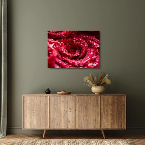 Tablou pe sticlă cu floarea trandafirului roșu (70x50 cm)