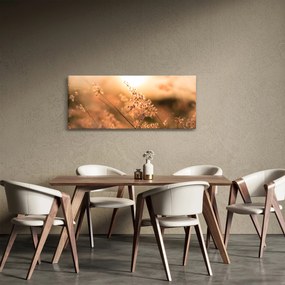 Tablou - Iarbă la soare (120x50 cm)