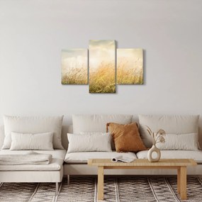 Tablou - Câmp toamna (90x60 cm)