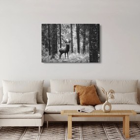 Tablou - Căprioare in pădure 2,alb-negru (90x60 cm)