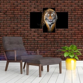 Tablou - Tiger (90x60 cm)