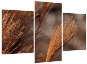 Tablou - Cortaderie (90x60 cm)