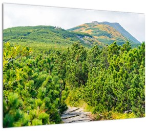 Tablou - Babi Hora, Polonia (70x50 cm)