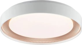 Brilliant - Plafonieră LED dimabilă WALDO LED/24W/230V alb/aur roz + telecomandă