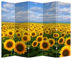 Paravan - Lan de floarea soarelui (210x170 cm)
