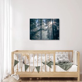 Tablou pe sticlă cu copaci și soarele translucind (70x50 cm)
