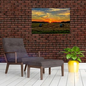 Tablou - Baloți din sat (90x60 cm)