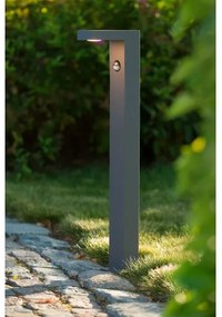 Lucide 28851/61/30 - LED lampa exterior cu senzor TEXAS-IR LED/6W/230V IP54