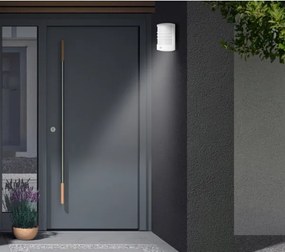 Telefunken 315506TF-LED Aplica de exterior cu senzor, LED 12W, 230V, IP44