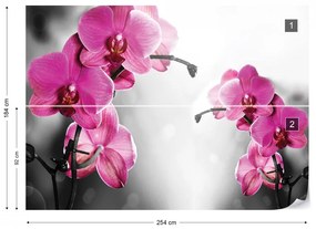 Pink Orchids Flowers Photo Wallpaper Wall Mural