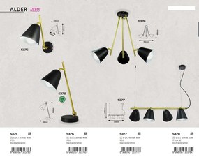 Lustra design industrial ALDER 5377 RX