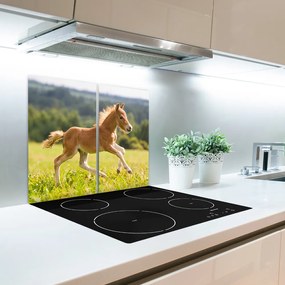 Tocator din sticla mânji de galop
