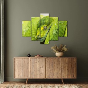 Tablou cu șarpe (150x105 cm)