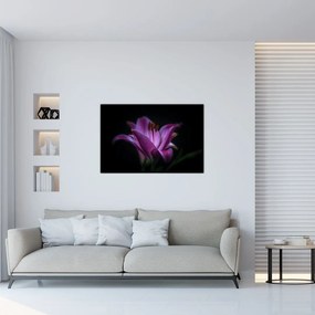 Tablou crinul (90x60 cm)